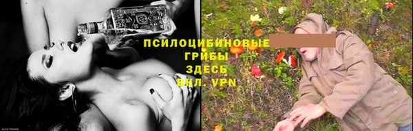 амф Ладушкин