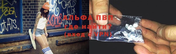 сатива Лихославль