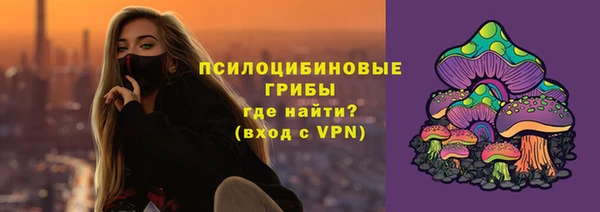 винт Лабытнанги
