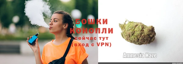 амф Ладушкин
