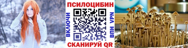 купить цена Нефтегорск Галлюциногенные грибы Cubensis