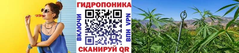 как найти   Нефтегорск  мега зеркало  Каннабис тримм 